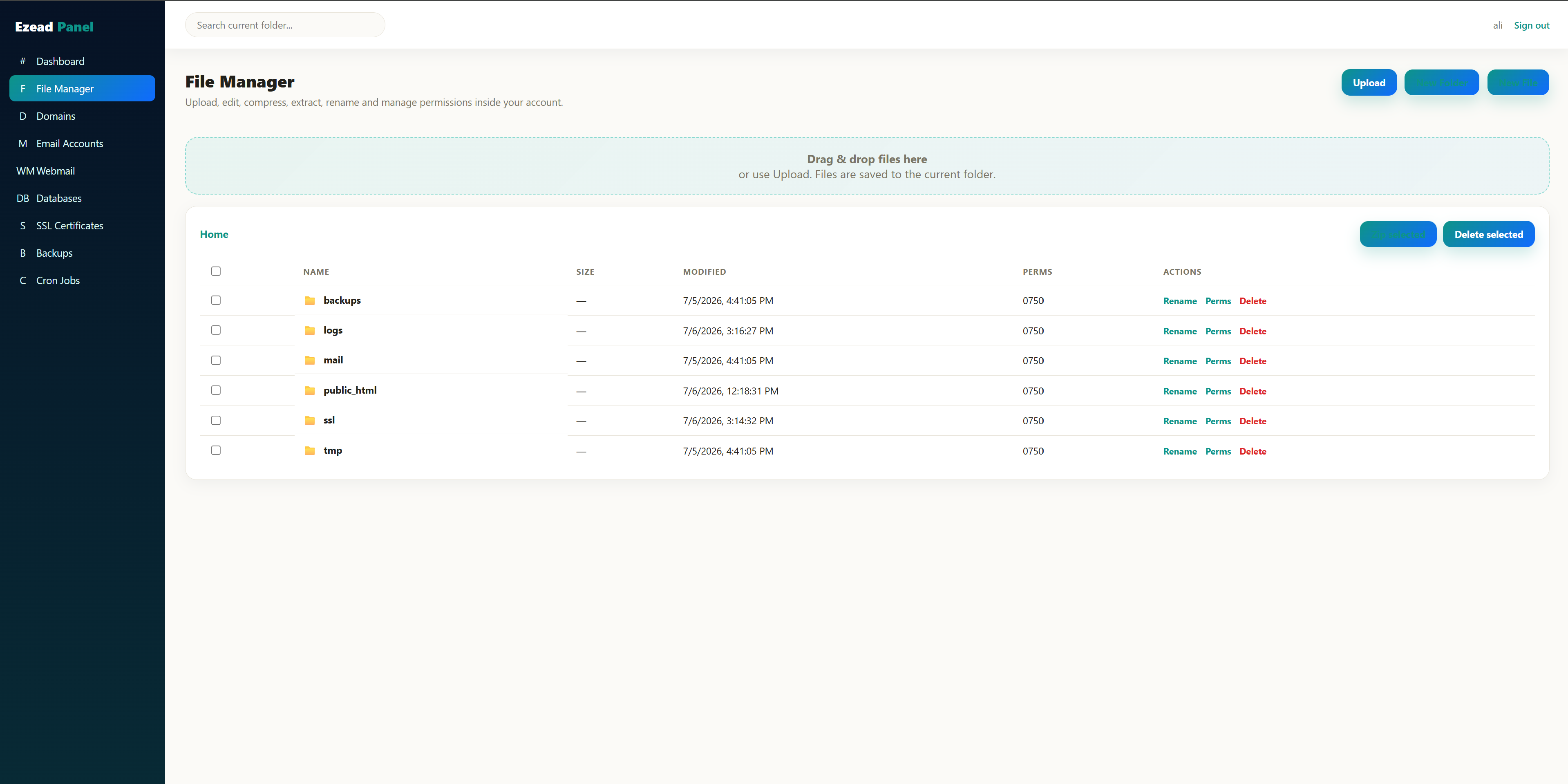 EzePanel Email operations interface