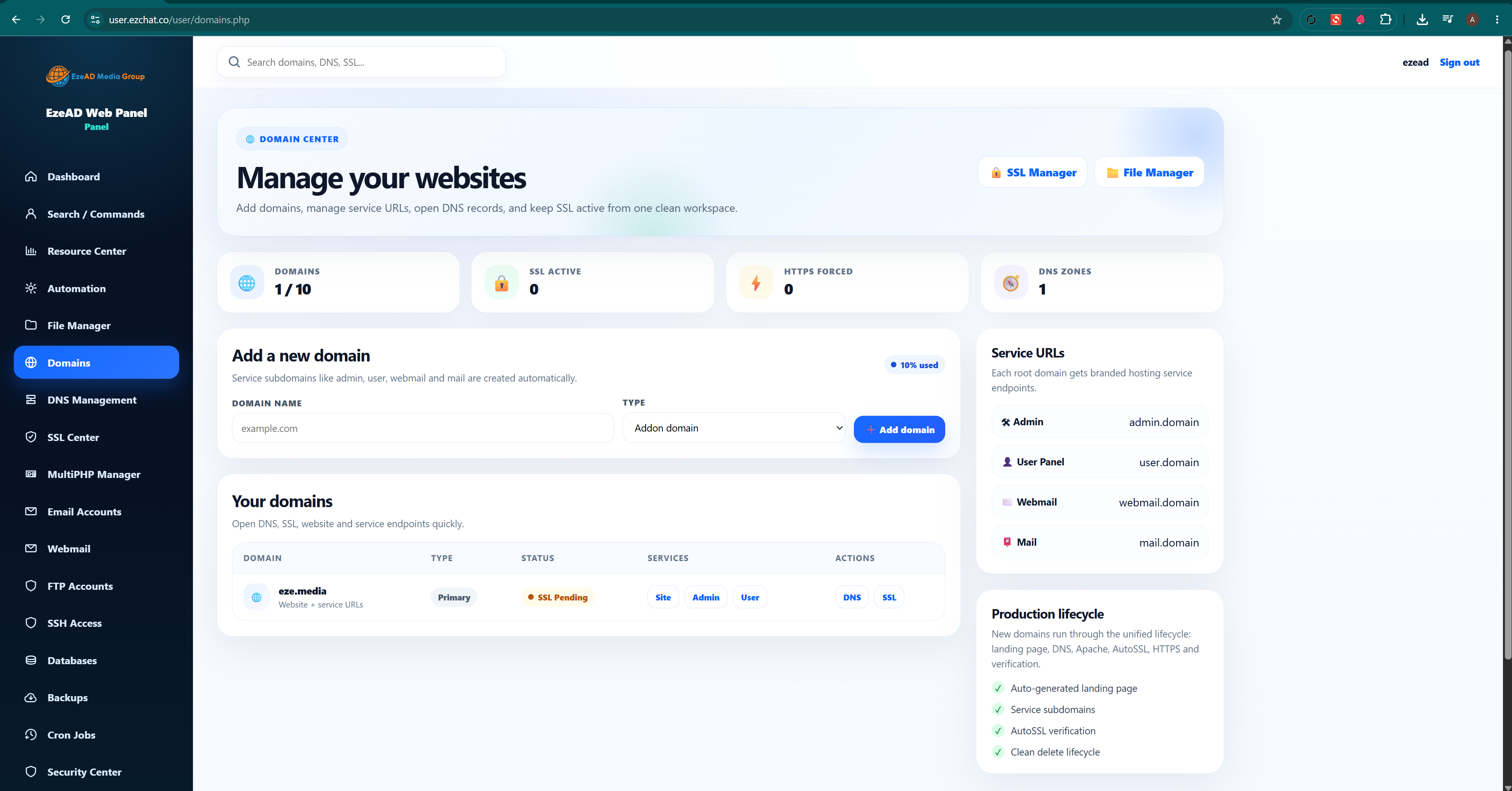 EzePanel Domains & DNS interface